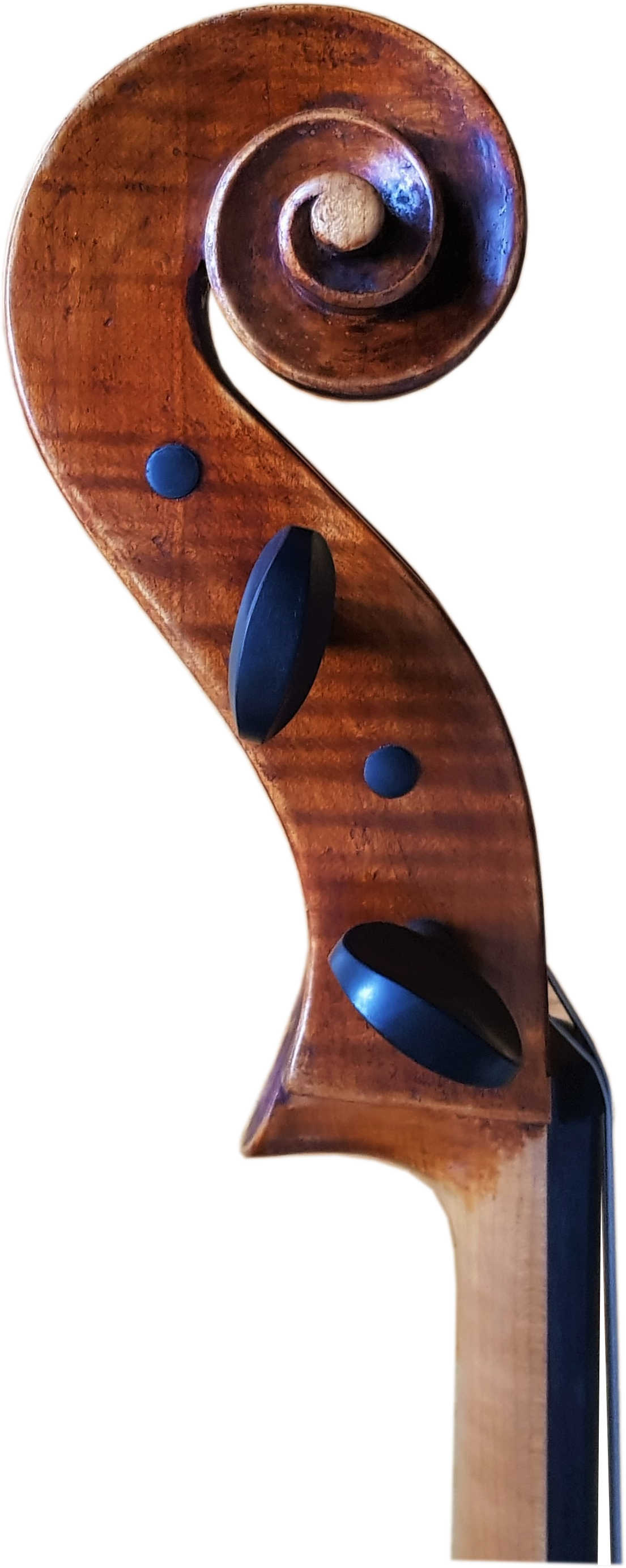 Cello Bernd Hiller Kopf