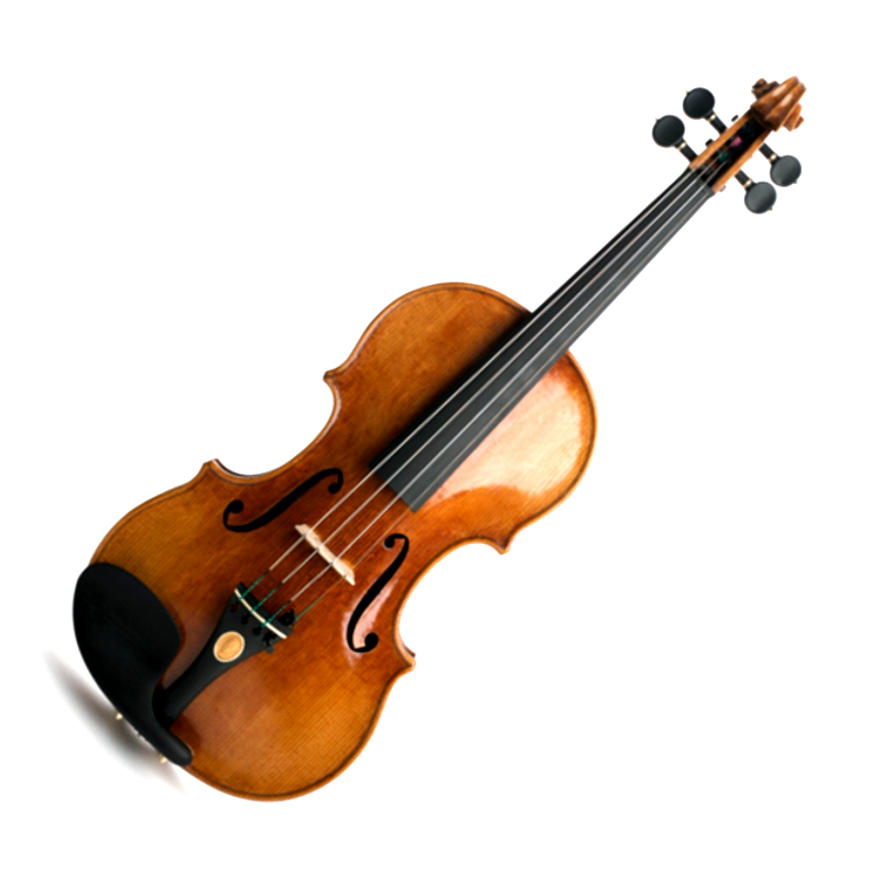 Kaufen Sie sich Ihre Violine