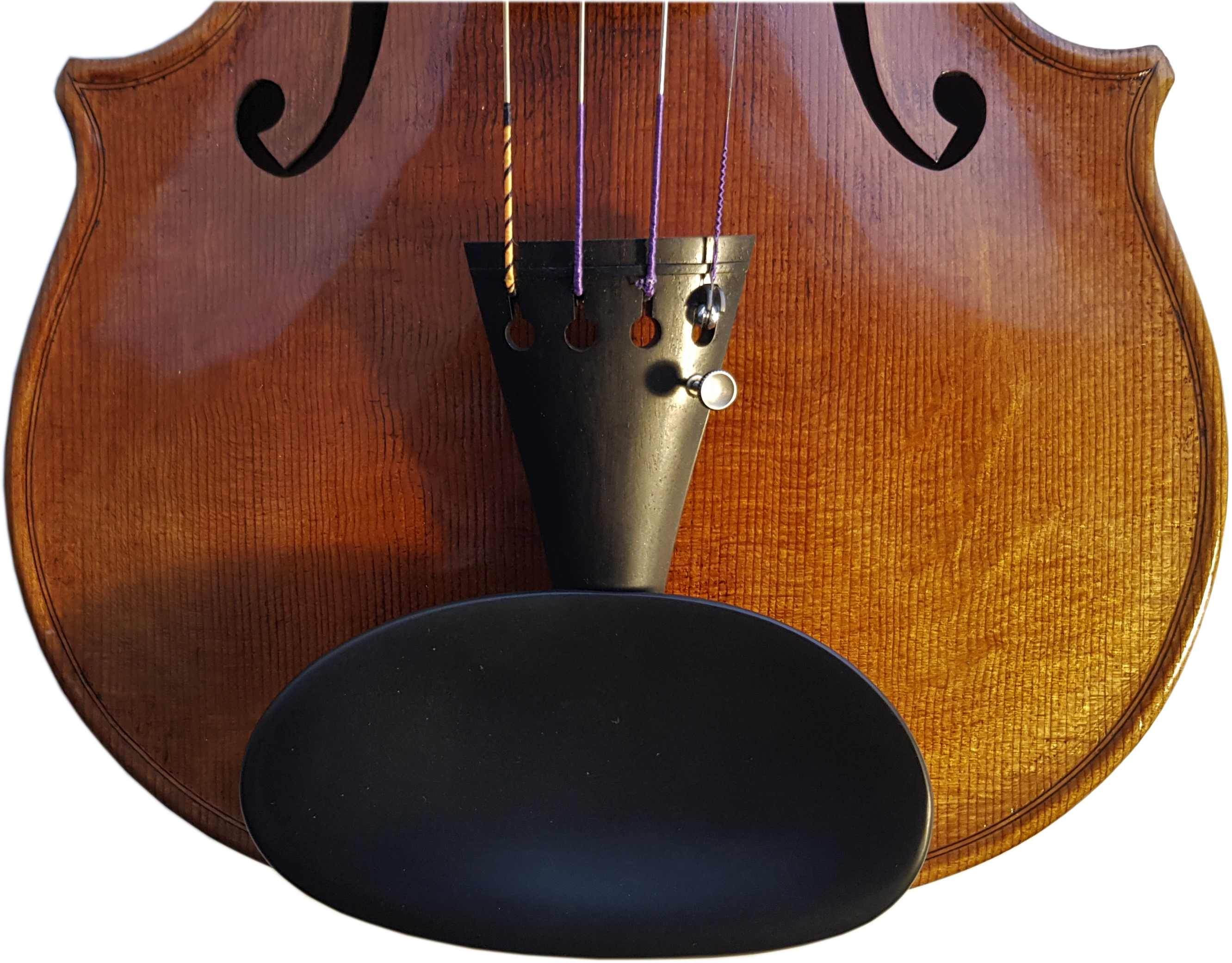 Mittelmodell Kinnhalter