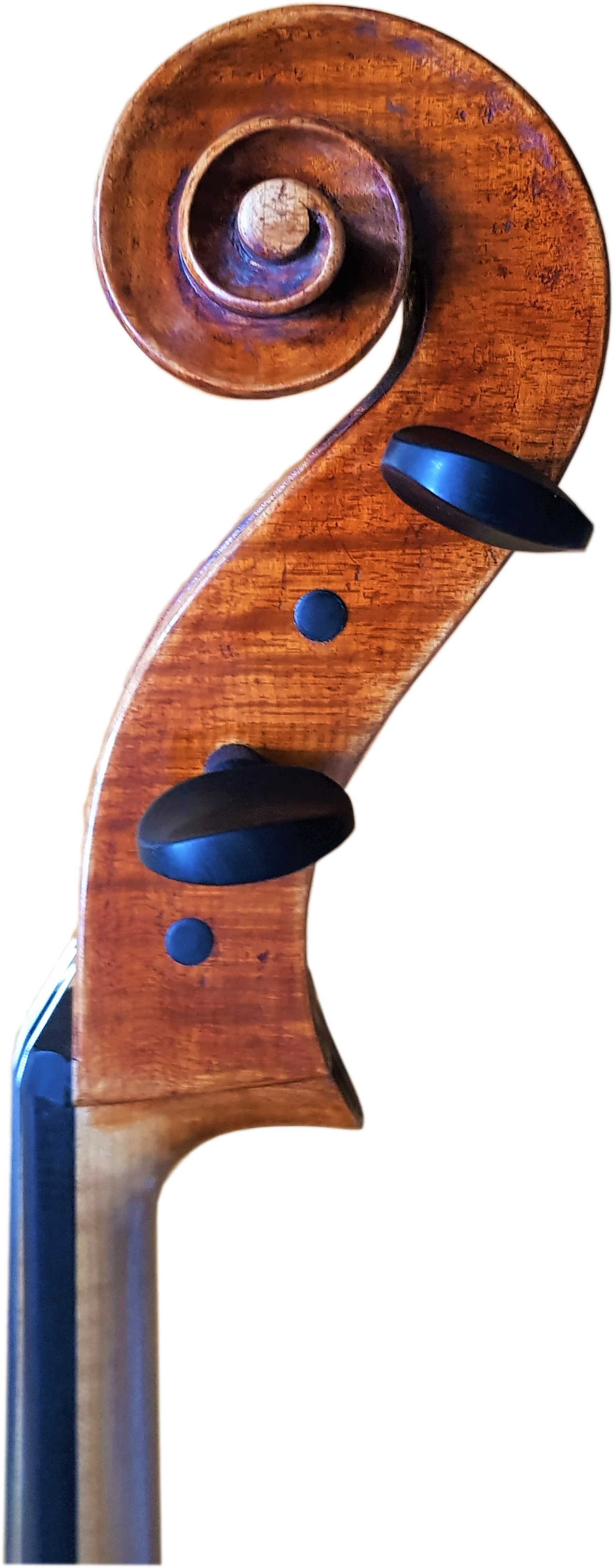 Cello Bernd Hiller Kopf