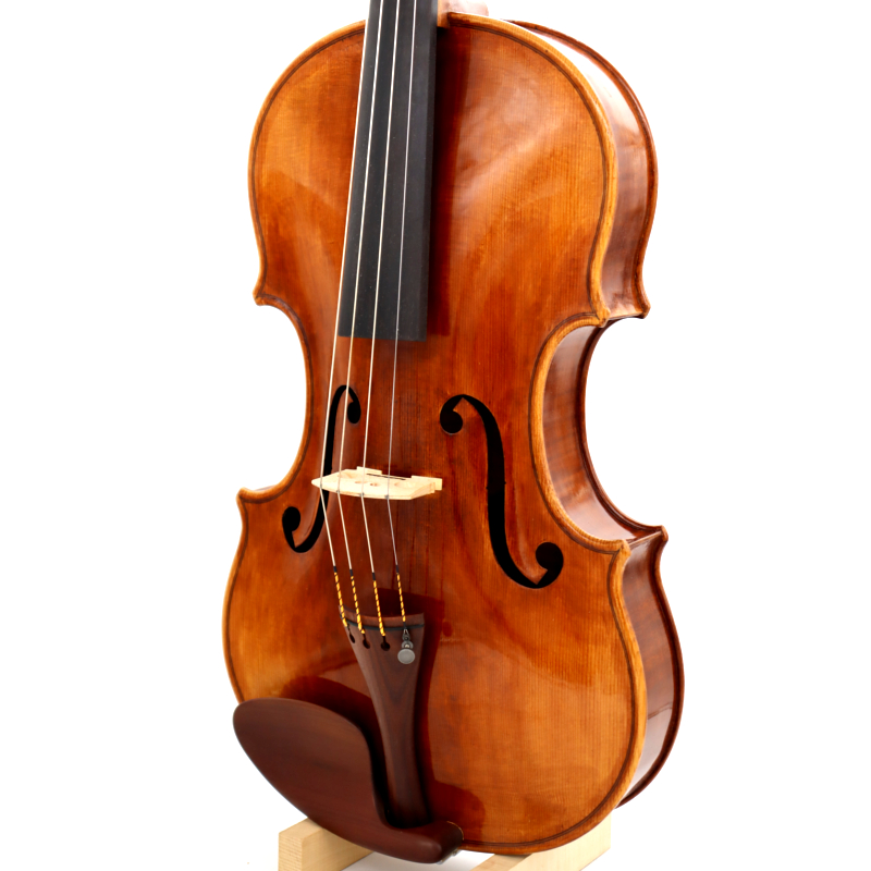 Viola Bernd Hiller-Riebl Modell